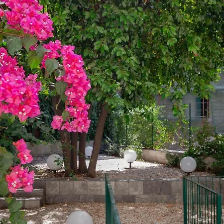 Maison d'hôtes Tarshito Gallery House 4*